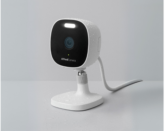 AlfredCam Plus 2 – Indoor/Outdoor Security Camera with Spotlight + Free 64GB microSD Card
